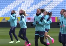 官方登录器-女足比赛球迷